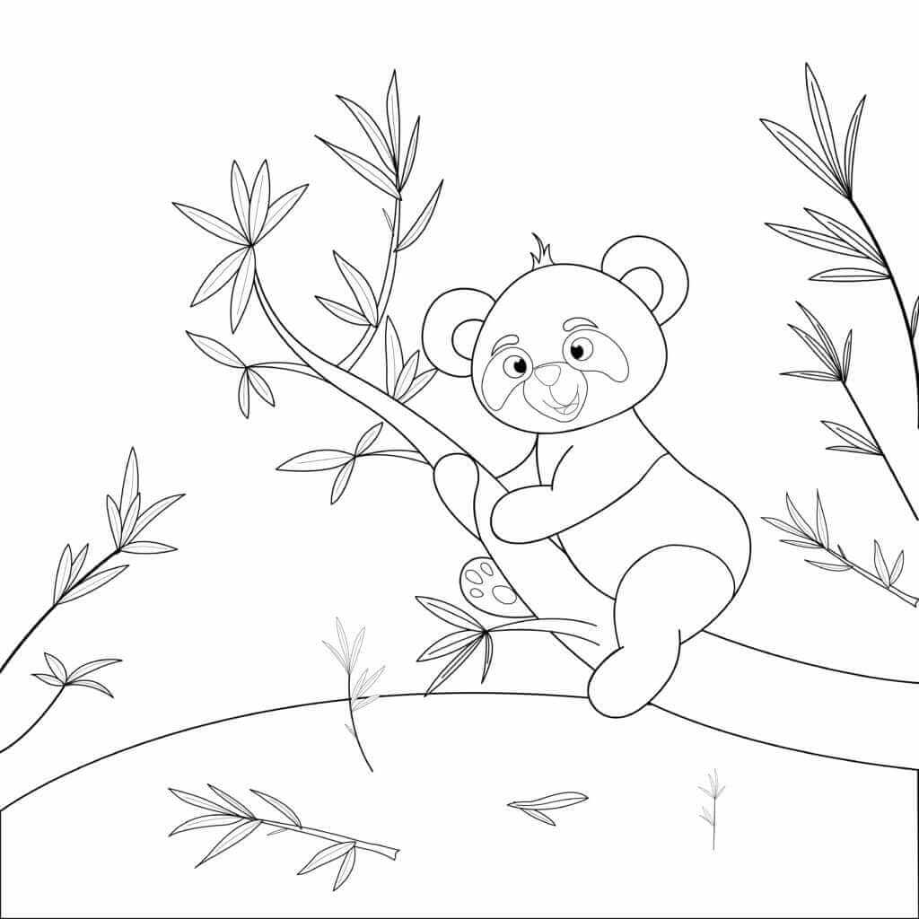 Omalovánka Panda na stromě