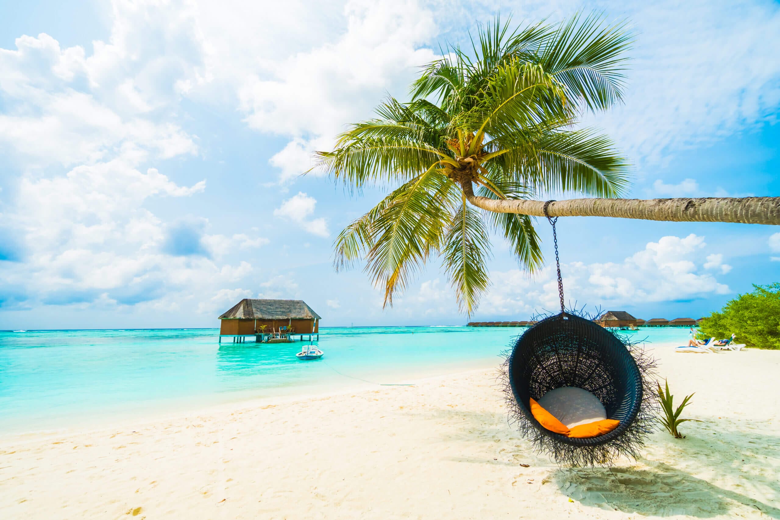 Takhle vypadá ráj: 7 nejkrásnějších ostrovů světa palm luxury sky bora caribbean scaled