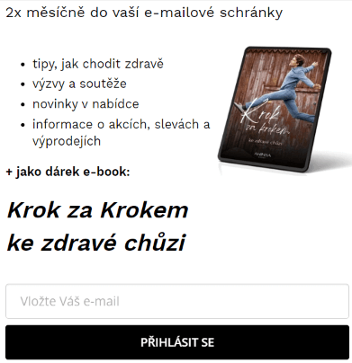 e book od ahinsashoes.cz